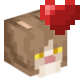 Breed Cat