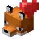 Breed Fox