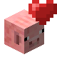 Breed Pig